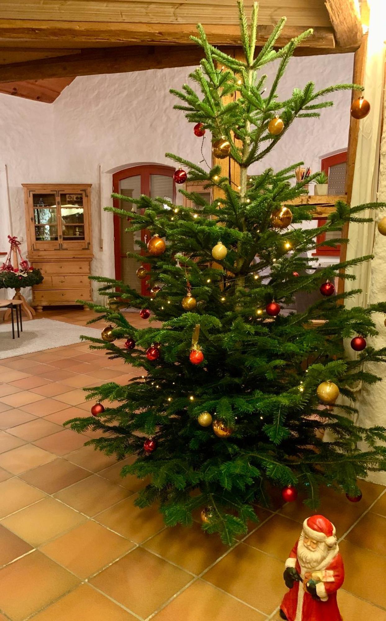 Altmuehl Familienvilla Treuchtlingen Luaran gambar